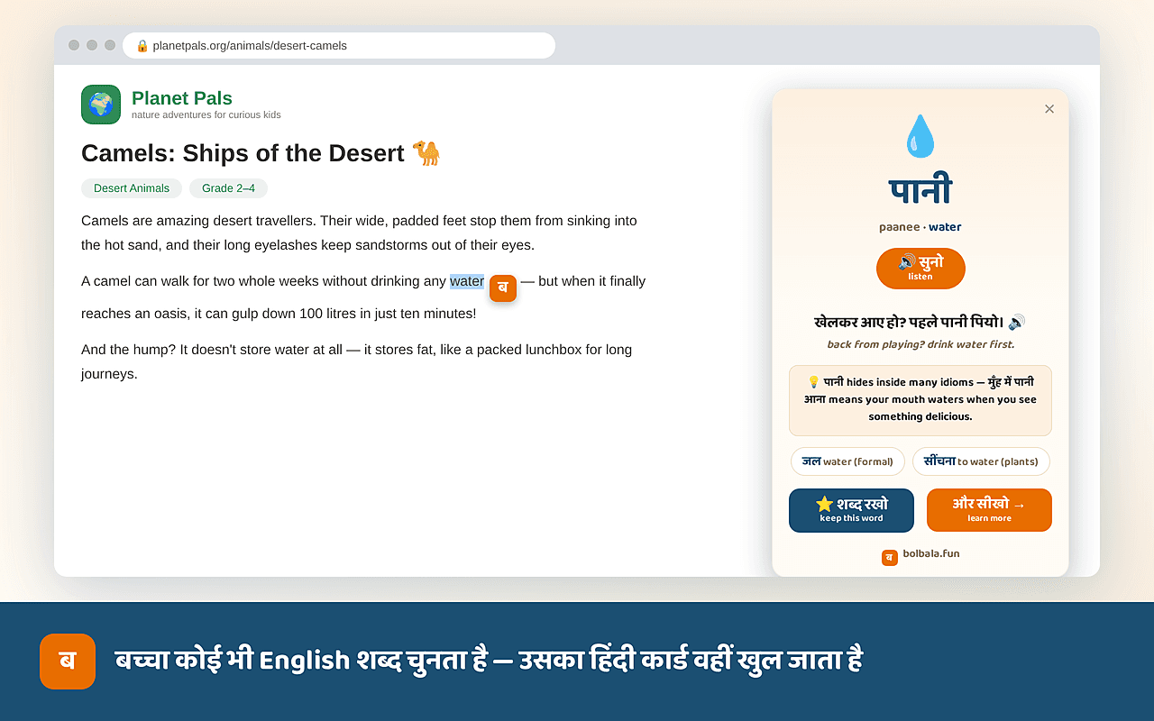 A child selects the word 'water' on a webpage about camels and the Bolbala card opens showing पानी with voice, sentence and memory hook